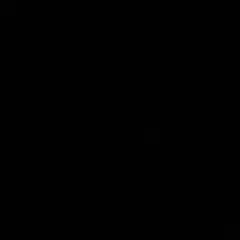 りこぴん様　専用