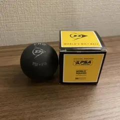 DUNLOP PRO スカッシュボール 1個