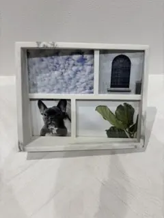 Item thumbnail for item 85df724c-79b1-43ca-8092-1244420facfa