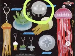 リアル 立体造形 キーホルダー クラゲ オワンクラゲ
