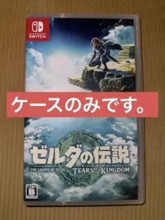 ゼルダの伝説 ティアーズ オブ ザ キングダム