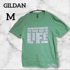 GILDAN 【M】半袖 Tシャツ ライトグリーン