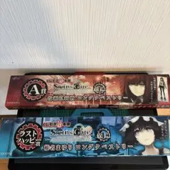 Steins;Gate 椎名まゆり 牧瀬紅莉栖 ロングタペストリーのサムネイル
