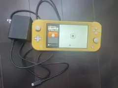 Switch Lite