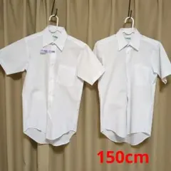 Item thumbnail for item a6b8df88-fe0f-4dc7-8dc1-774b04ee32a3