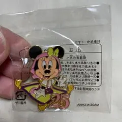 【非売品】ディズニー25周年記念ピンバッジ　ミニーマウス