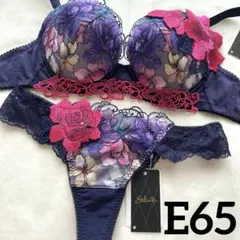 サルート24 E65ソングM 即購入可能です♪ サルート 76G 空中庭園 P-Upタイプブラジャー E65 ソング M LG