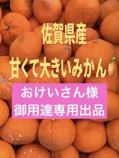 ③おけいさん様専用出品大きくて甘い規格外佐賀みかんゆうパックにてお送りします