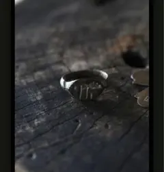 Item thumbnail for item b960a83b-d1de-4f1f-a015-9bc524eae8cb