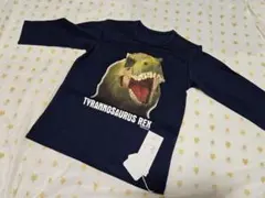 Item thumbnail for item cf1a316a-9e97-456a-808e-f6073bc5d048