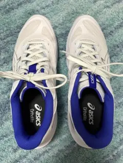 asics v-swift ff5 バレーボールシューズ ホワイト/ブルー