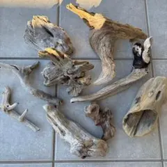 Item thumbnail for item f7587f8c-d264-4ffa-a5f5-70714e65424d