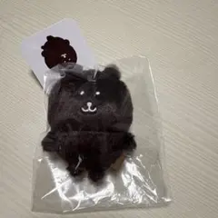 ナガノマーケット　カラーなナガノのくま　マスコット　ダークブラウン