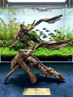 【早い者勝ち一点物】ADAスリムウッド2本　レイアウト素材