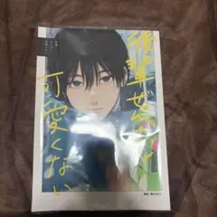 カエル畑DEつかまえて TAKUYO公式通販特典 小冊子「正月の俺ら