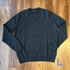BANANA REPUBLIC 100%メリノウール Vネックセーター L