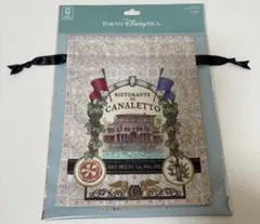 【新品未使用】 ディズニー ストーリービヨンド パラッツォカナル 巾着