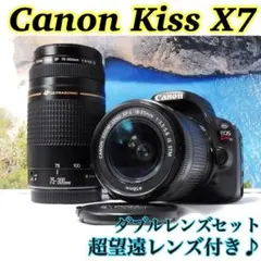 2026年最新】CANON 一眼レフ レンズの人気アイテム - メルカリ