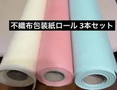 Item thumbnail for item 2a2d11dd-16ed-4653-a57d-3d4b4e6b06a3