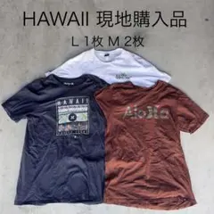 ハワイ限定 Tシャツ 3枚セット Hurley islandsnowまとめ売りのサムネイル