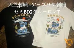 RUMSODA 天竺刺繍×アップリケ刺繍セミBIGクルー長袖Tシャツ(山) 白