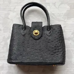 2025年最新】オーストリッチ風バッグの人気アイテム - メルカリ