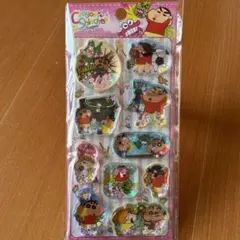 【海外正規品】クレヨンしんちゃん☆ウォーターシール