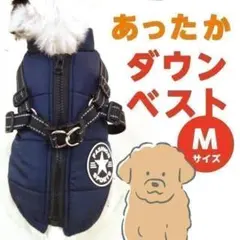 Item thumbnail for item 488996d6-a69d-4b1d-9b94-b28e5ee35f8c