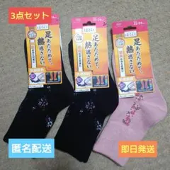 Item thumbnail for item c0bfacde-2bc3-4a32-9fde-3c2595947a30