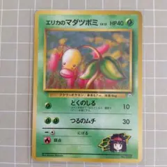 エリカのマダツボミ ポケモンジムタマムシシティジム エリカ