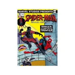 Happyくじ スパイダーマン ブランドニューデイ G賞 ポスター - メルカリ