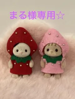 まる様専用☆ シルバニアファミリー　着せ替え服　いちご、園児服