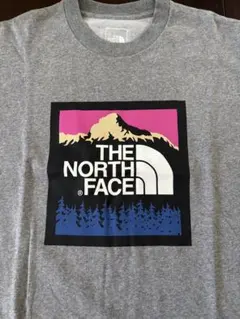 お値下げ中⭐︎THE NORTH FACE グレー TシャツSサイズ