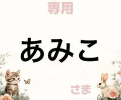 専用
