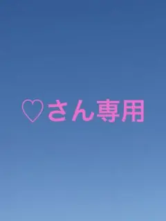 【ブラックの靴下】レディースWESTERN POLO TEXAS 22-24cm