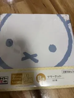 Bruna Animal Lottery B賞 サマーケット　うさぎ