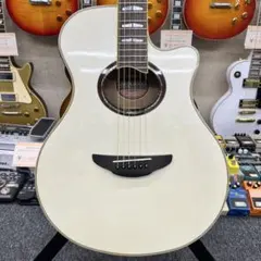 2026年最新】yamaha apx-8-12の人気アイテム - メルカリ