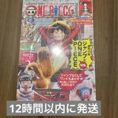ワンピースマガジン 20号 プロモ付き モンキー・D・ルフィ雑誌1冊