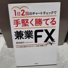 1日2回のチャートチェックで手堅く勝てる兼業FXのサムネイル