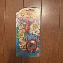 珠緒っち　新品未開封品　激レア 珠緒っち 新品未開封品 激レア | Mercari