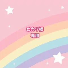 ピカリ様 リクエスト 3点 まとめ商品