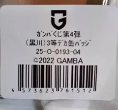 ガンバくじ 第4弾 3等デカ缶バッジ