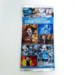 【イマジニングザマジック】 コレクションカード ミニー　秋冬