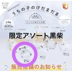 うちの子のけだま 犬 限定アソート黒柴