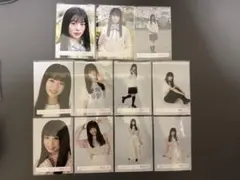 櫻坂46 稲熊ひな　四期生お披露目制服　ロゴT 私服　生写真　11種コンプ