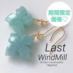天然石☆アマゾナイトウィンドミルカービングのピアス14kgf