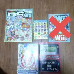 ファミ通DS+Wii 　2007年1月号