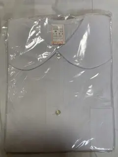 Item thumbnail for item 1c8af983-1e7d-47d0-97bf-f3d4d198c008