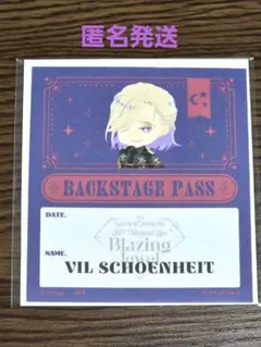 2025年最新】ヴィルシェーンハイトまとめ売りの人気アイテム