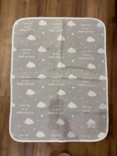 Item thumbnail for item 378991a4-ee25-4f75-9921-a42936fa8b35